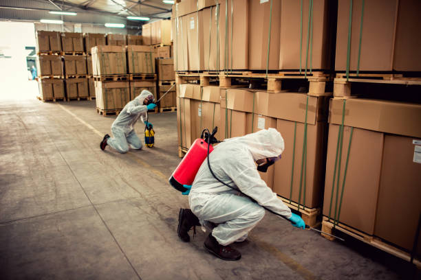 Best Pest Prevention Services  in Clksville, AR