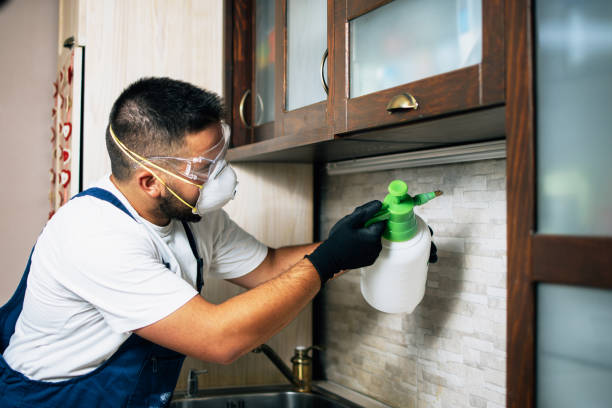Best Commercial Pest Control Services  in Clksville, AR