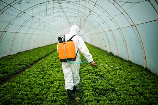 Best Ant Control Services  in Clksville, AR