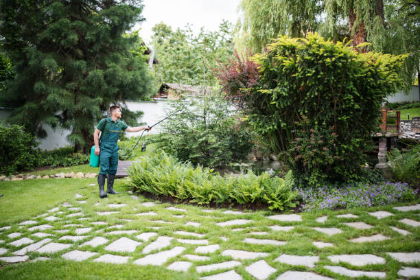 Best Best Pest Control Near Me  in Clksville, AR