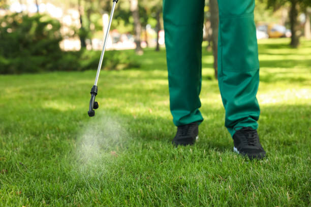 Professional Pest Control in Clarksville, AR