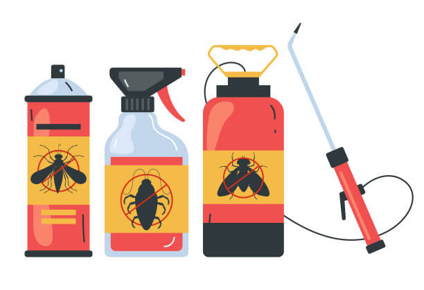 Best Termite Control Services  in Clksville, AR