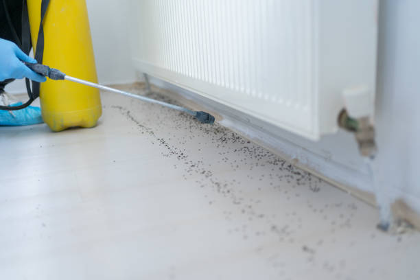 Best Pest Control Near Me in Clarksville, AR