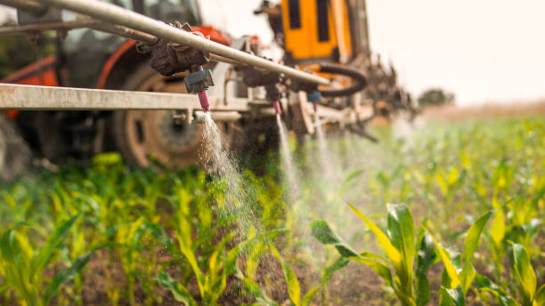 Best Pest Inspection Near Me  in Clksville, AR