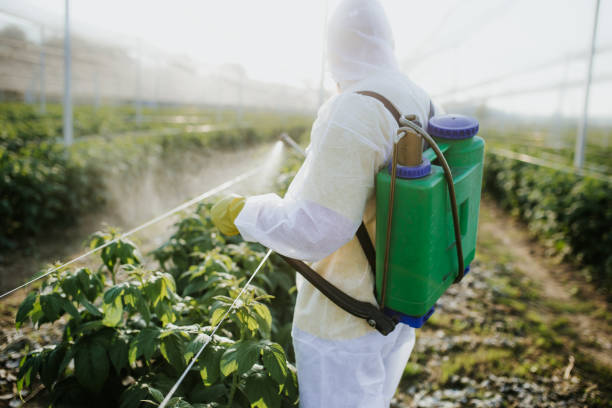 Best Pest Control Near Me  in Clksville, AR